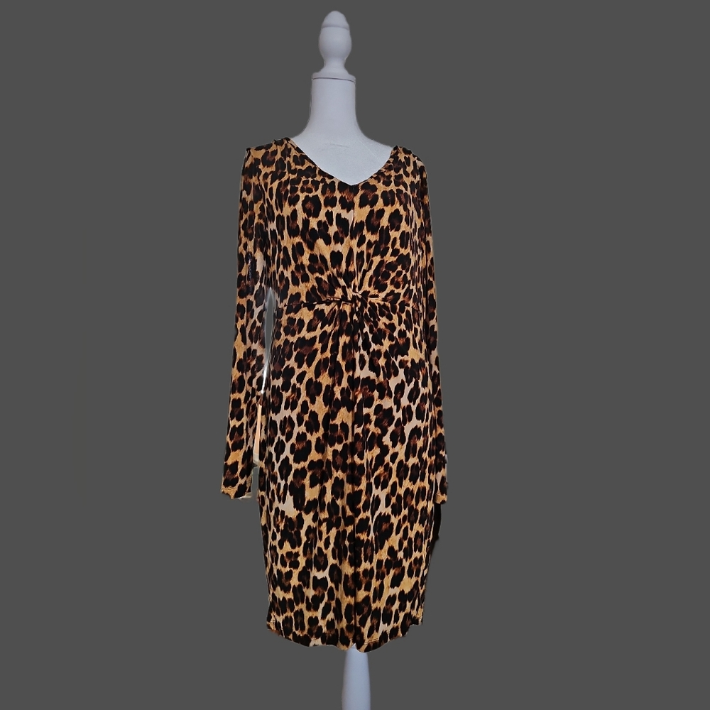 Leopard Print Long Sleeve Dress